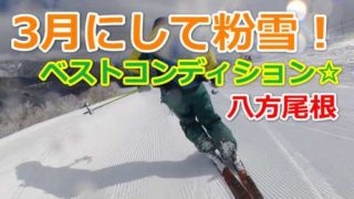 八方尾根ゲレンデレポート3月まとめ